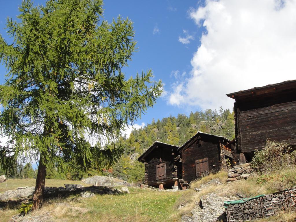 Haus Alpenstern Apartment Саас-Грунд Екстериор снимка