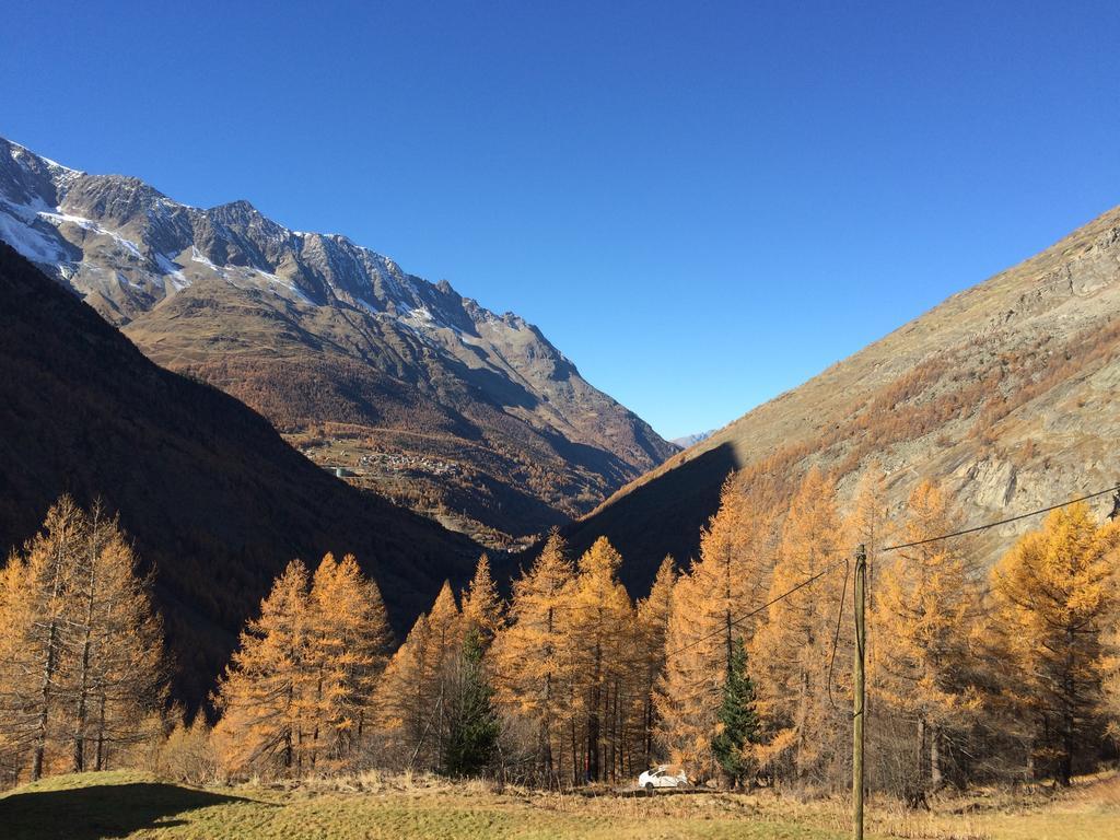 Haus Alpenstern Apartment Саас-Грунд Екстериор снимка