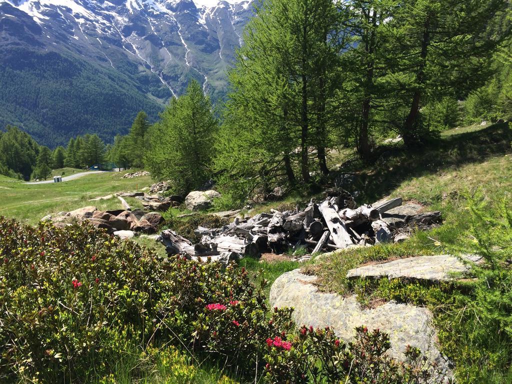 Haus Alpenstern Apartment Саас-Грунд Екстериор снимка